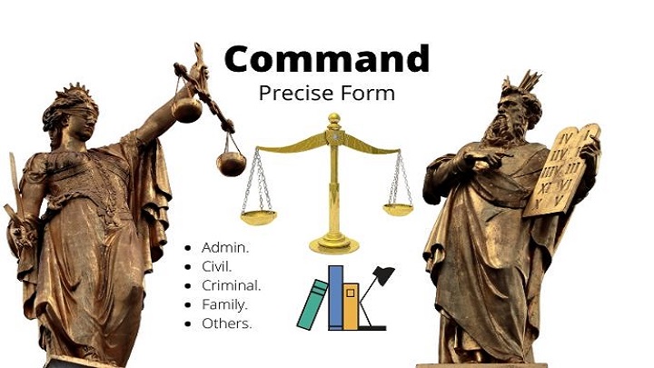 26180give legal briefs, case research, and law summaries for court processes or trial